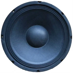 BishopSound 12" Speaker 300w RMS Full Range Pressed Steel LF Driver - BSP12 8 ohm