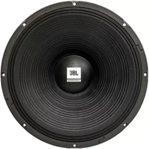 18 Inch 600 Watts RMS Woofer