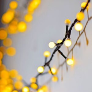 Mini Berry Lights