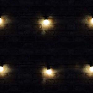 Outdoor LED Festoon Lights BOF10WW