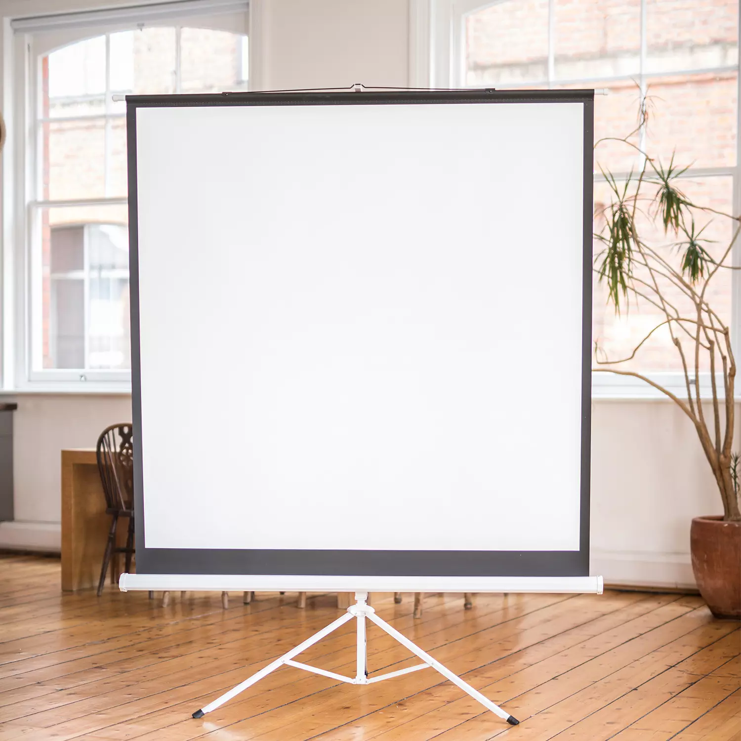 AV:Link 100 inch tripod projector screen AV:Link 100 inch tripod projector screen fully assembled front view with white steel case