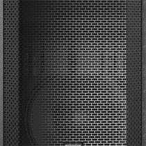 Electro-Voice ELX200-10P 10" Powered Loudspeaker